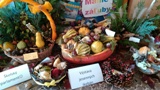 Jesenná výstava ikebán a ovocia